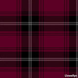Necktie Welsh Tartans
