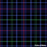 Necktie Welsh Tartans
