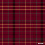 Necktie Welsh Tartans